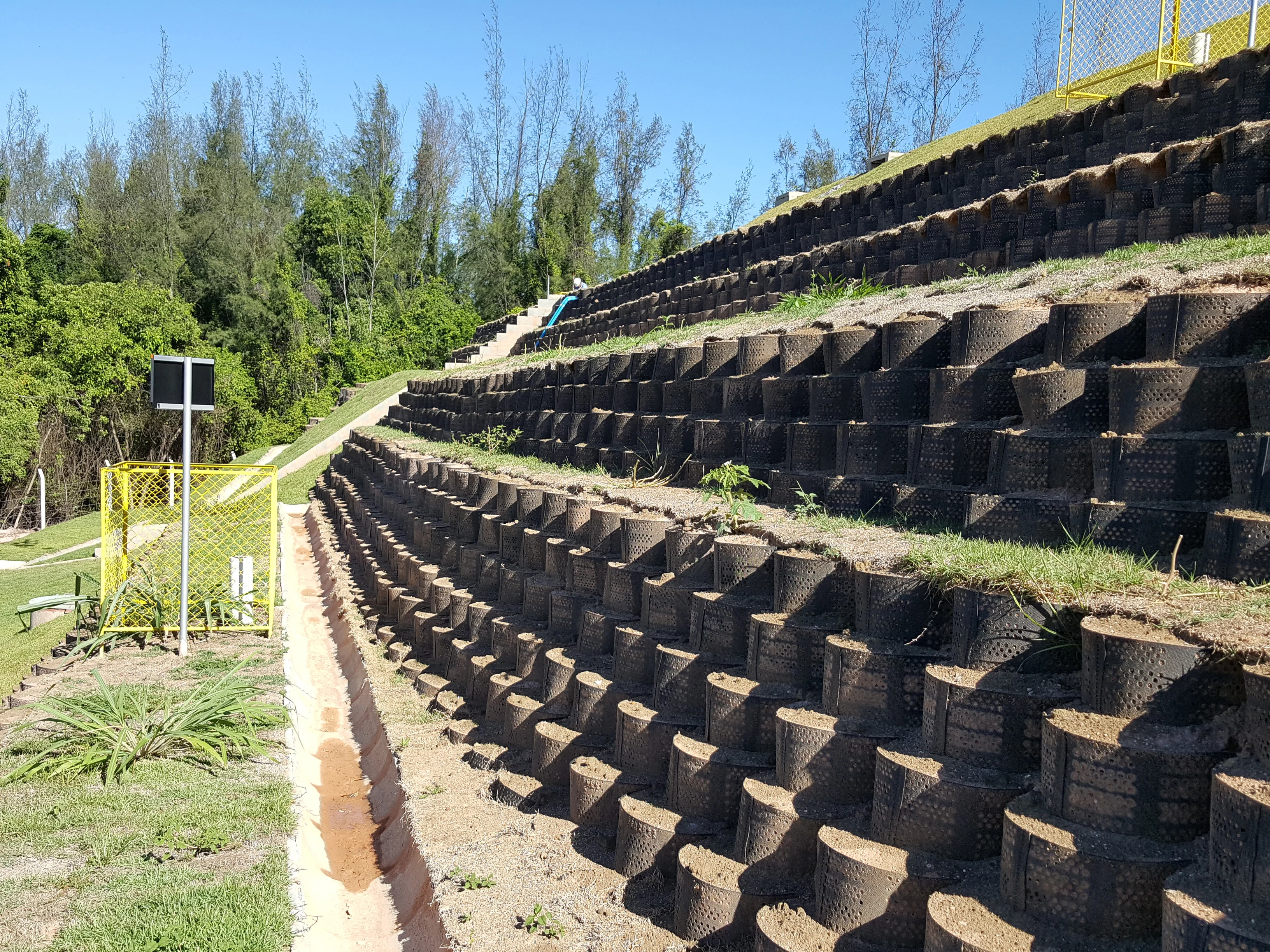 Revegetación de taludes