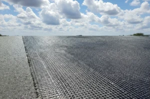 Geogrids for Repaving