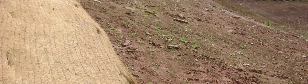 Mantas para controle da erosão