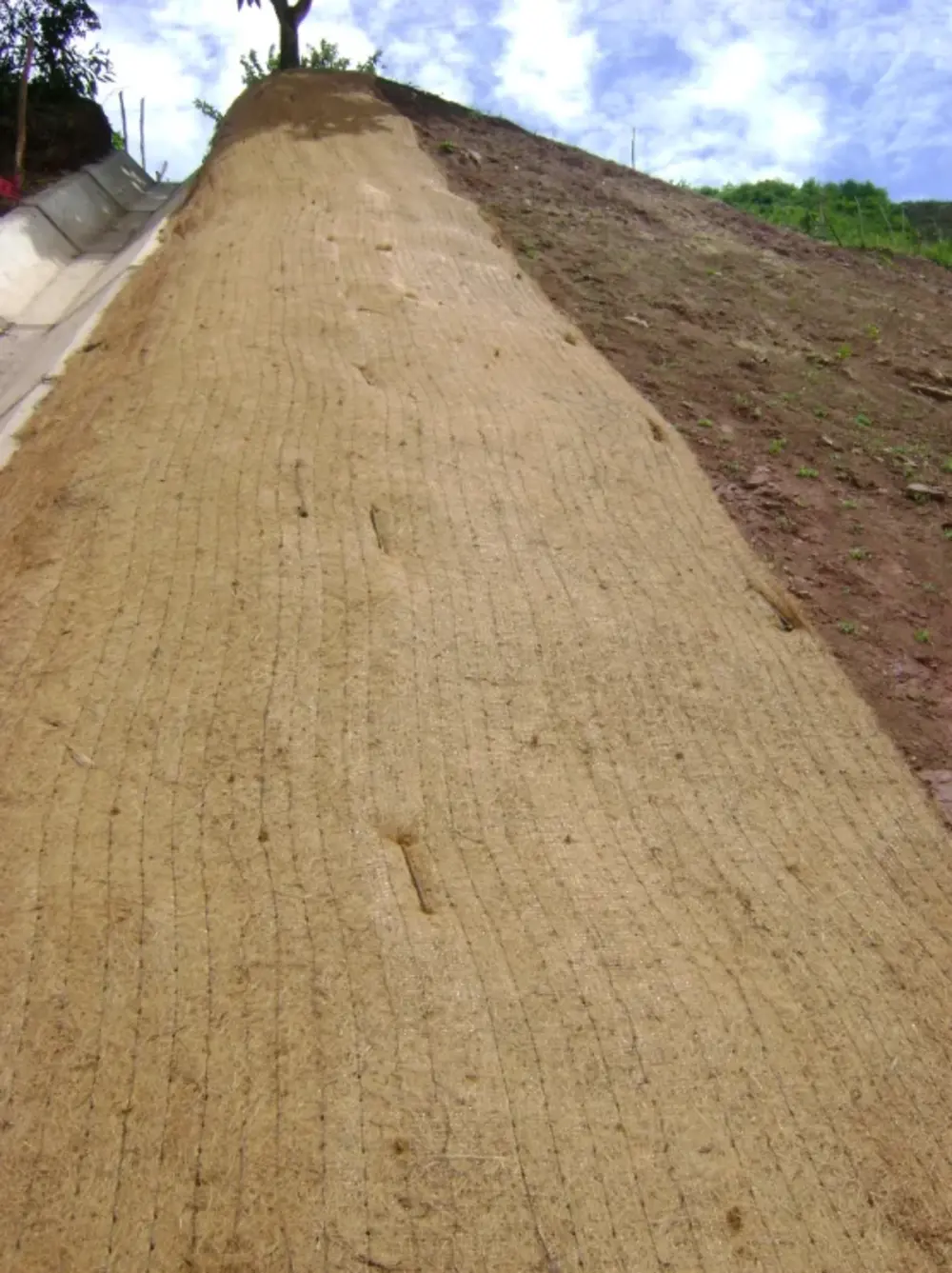 Obra Vial Interoceánica Norte, Tramo 2, Perú