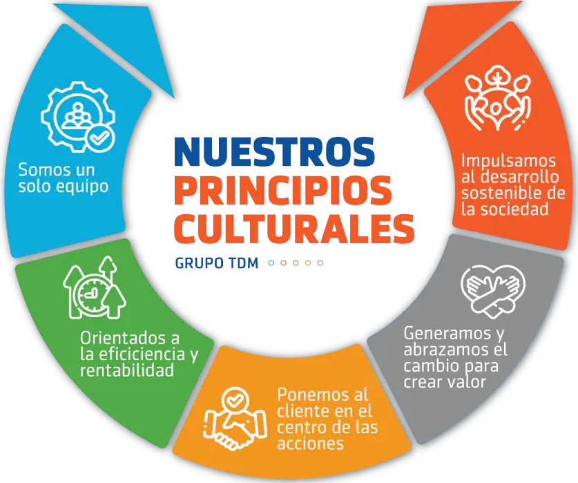 Principios Culturales Grupo TDM