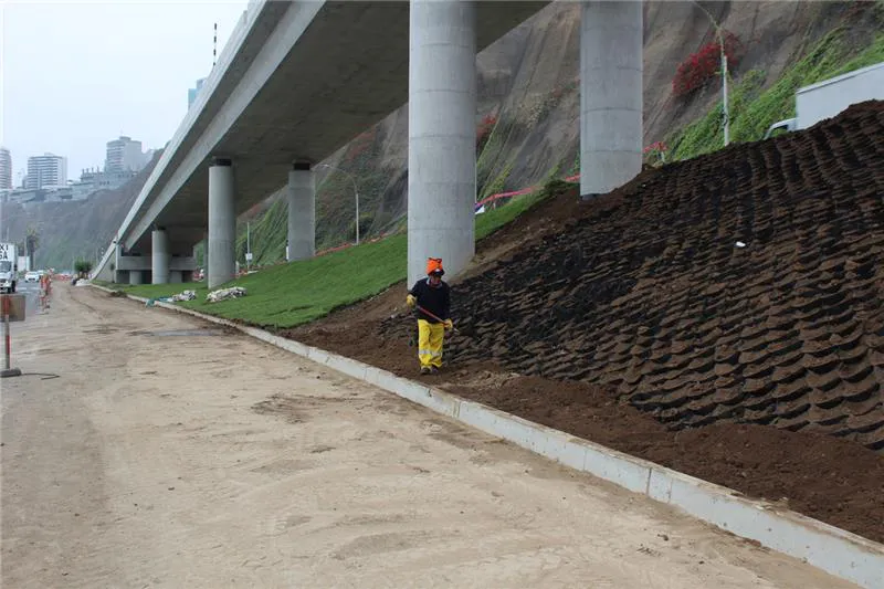 Revegetación de taludes en la Costa Verde, Lima, Perú
